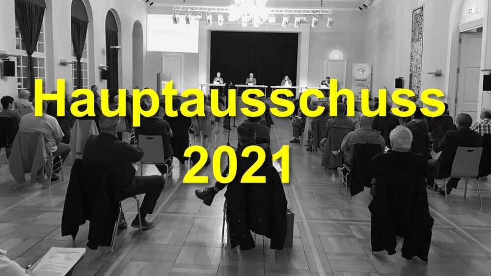 2021 04 13 HauptausschussTOuA